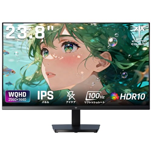 KEY TO COMBAT 24in 管する WQHD(2560×1440) 100サイクル IPSダイアログボックス 青みともし火助け出す FreeSync