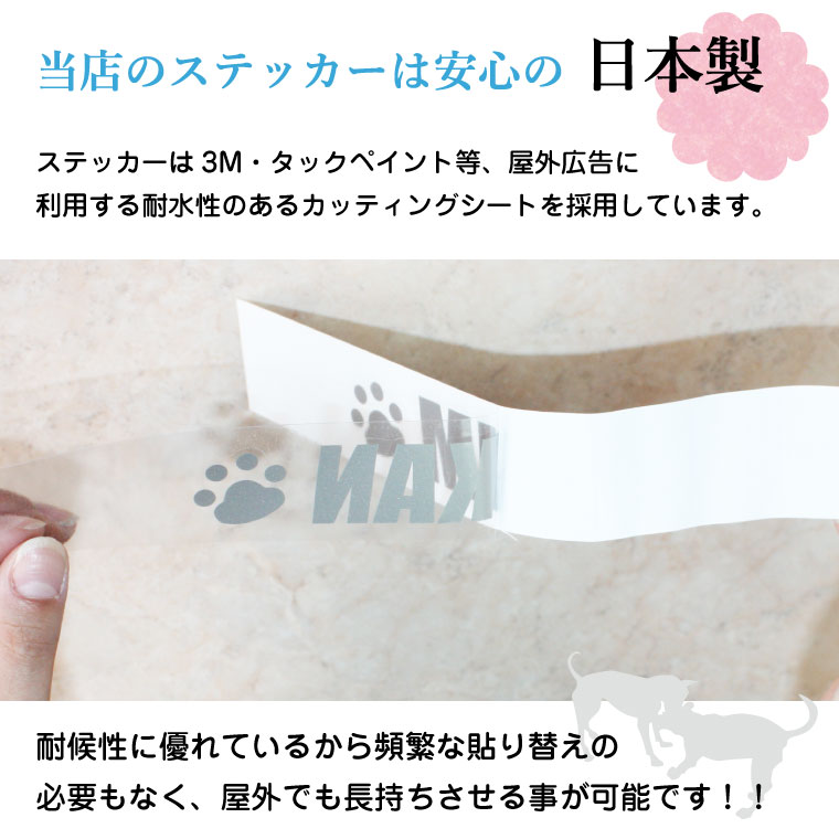 楽天市場 ペット 名入れ 犬猫 ステッカー 多頭飼い ツインステッカー シルエット 車 転写ステッカー 犬用品 犬グッズ 犬雑貨 猫用品 猫グッズ 猫雑貨 ギフト プレゼント ペットグッズならエブリーペット