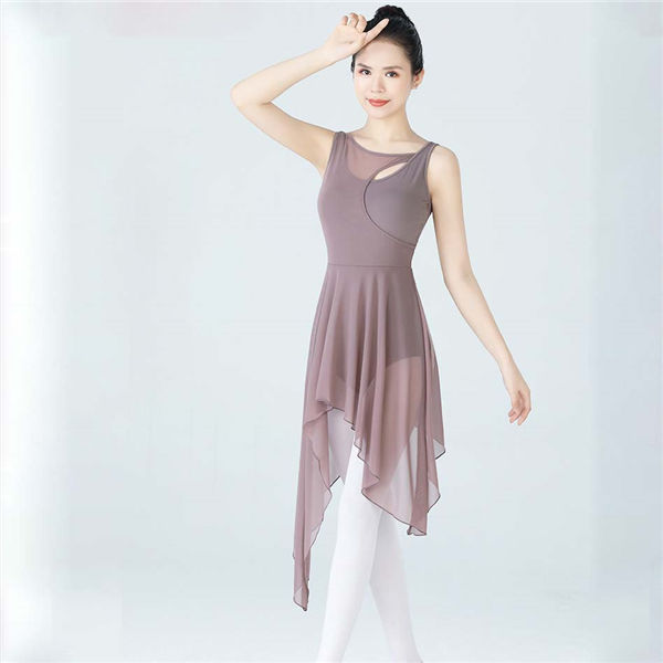 バレエ レオタード 大人 レディース ワンピース バレエ用品 コスチューム ユニフォーム バレリーナ 衣装 ダンス バレエ用品 Ballet用品 シースルー レッスン着 肌透け レオタード 背中セクシー 小さいサイズ お洒落 韓国 練習着 演出用 可愛い バレエダンス D1455d3d3t2