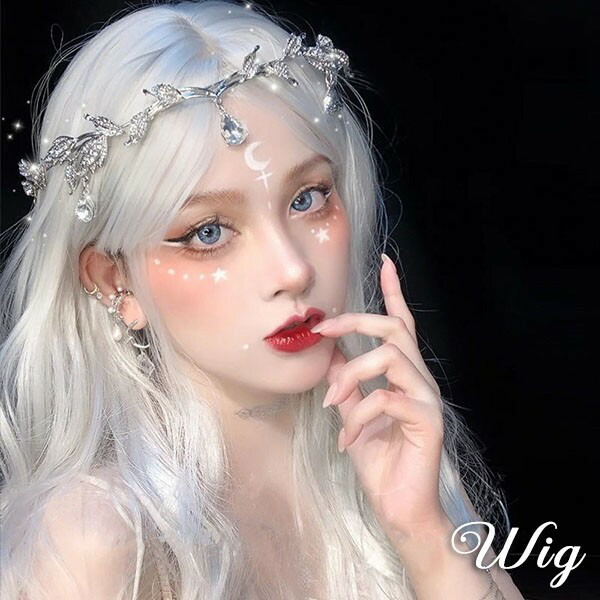 VALAN  ウィッグ　シルバー銀髪白髪RD05 VALAN ウィッグ シルバー銀髪白髪RD05 ウィッグ フルウィッグ