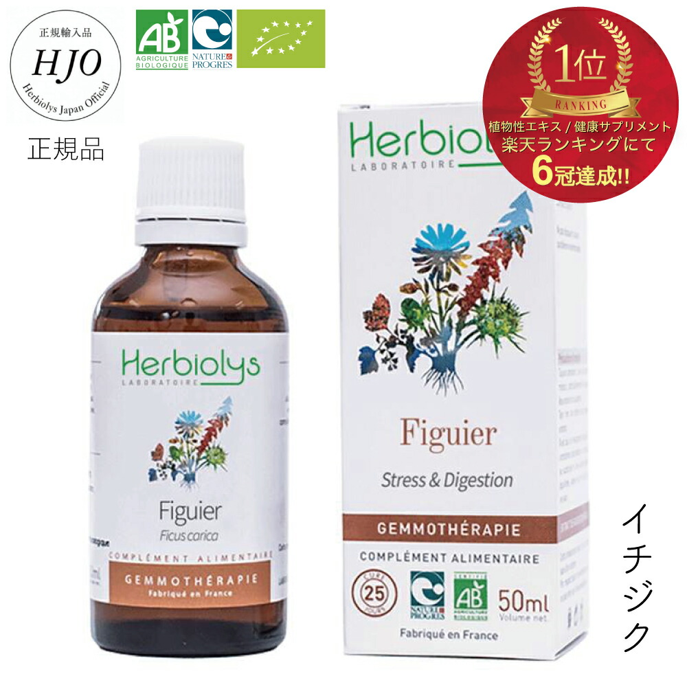 アーティキュロス　ジェモセラピー　エルビオリス　フラワーエッセンス 取寄せ品】アーティキュロス《エルビオリス ジェモセラピー