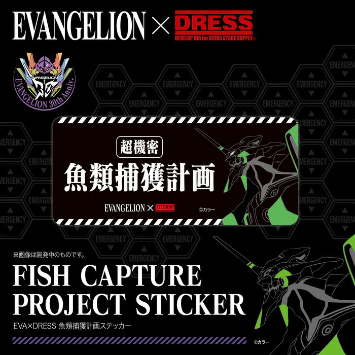 楽天市場】【9月予約→8月20日発売予定】【楽天1位!16冠!】EVA