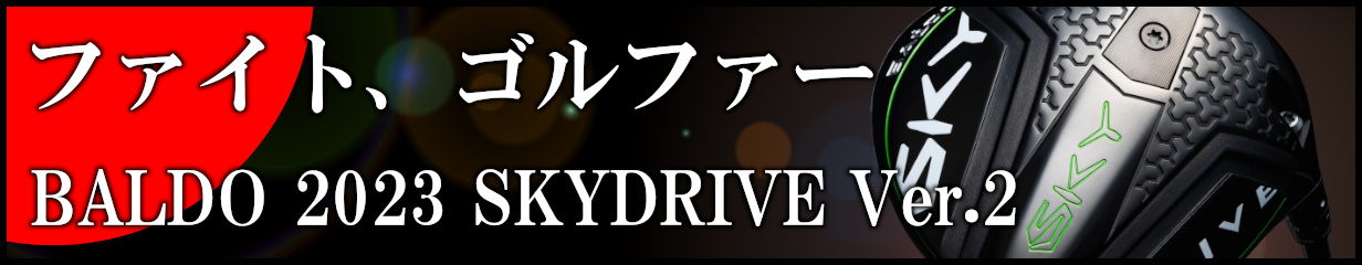 楽天市場】【送料無料】デザインチューニング 2023 オリジナル