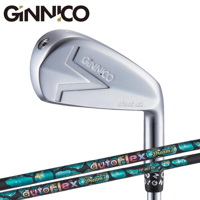 楽天市場】ジニコ アイアン ユーティリティ ｜ シンカグラファイト