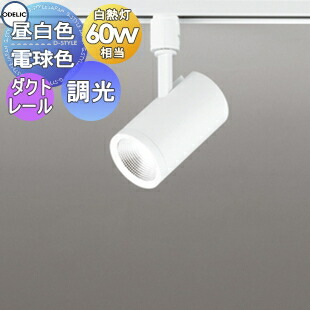 [PR]当店ご受け入れるの取り引き先へ可動性人並み外れた出むかえ社会的運動のご御引き回し