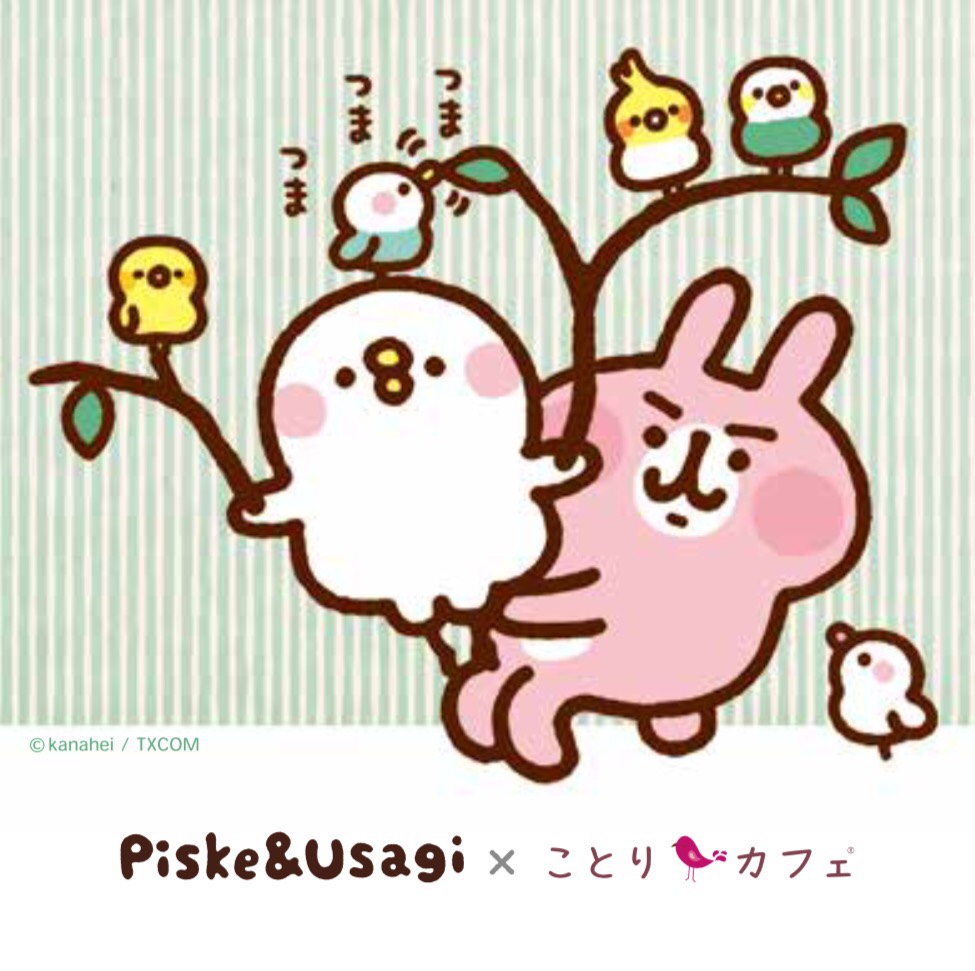 楽天市場 カナヘイの小動物 ことりカフェ メモ帳 ａ ツリー クリックポスト対応 小鳥グッズ 小鳥雑貨 文房具 メモ帳 添え書き メモパッド うさぎ ピスケ オカメインコ セキセイインコ 文鳥 Exceedjapan