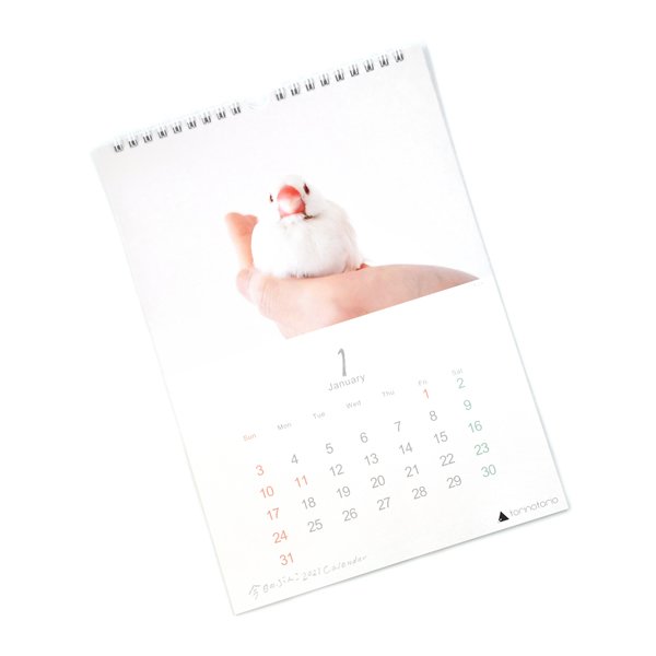 楽天市場 Torinotorio 今日のぶんこ 壁掛けa4カレンダー 21 クリックポスト対応 カレンダー 21年カレンダー 令和3年 カレンダー ステーショナリー 文房具 雑貨 オリジナルグッズ 限定品 文鳥 白文鳥 ごま塩文鳥 シルバー文鳥 Exceedjapan