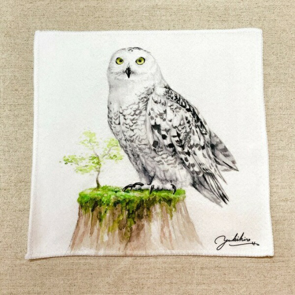 楽天市場】水彩画マウスパッド フクロウ ◇ゆうパケット対応◇ 梟