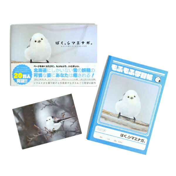 楽天市場 ぼく シマエナガ ぼく シマエナガ あなたを癒してくれる63の写真 シマエナガ やなぎさわごう 写真集 しずく書房 クリックポスト対応 写真 ポートレート ネイチャー 自然 野鳥 ドキュメンタリー 北海道 エナガ 雪の妖精 柳澤豪 ゆきの