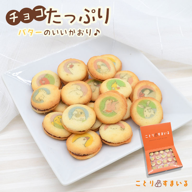 楽天市場】スクエアクッキー(5個入り) ☆うちのこ(Baby