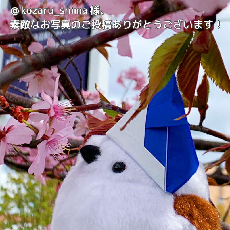 シマエナガ ぬいぐるみ 1羽◇可愛い グッズ ことり 小鳥 雑貨