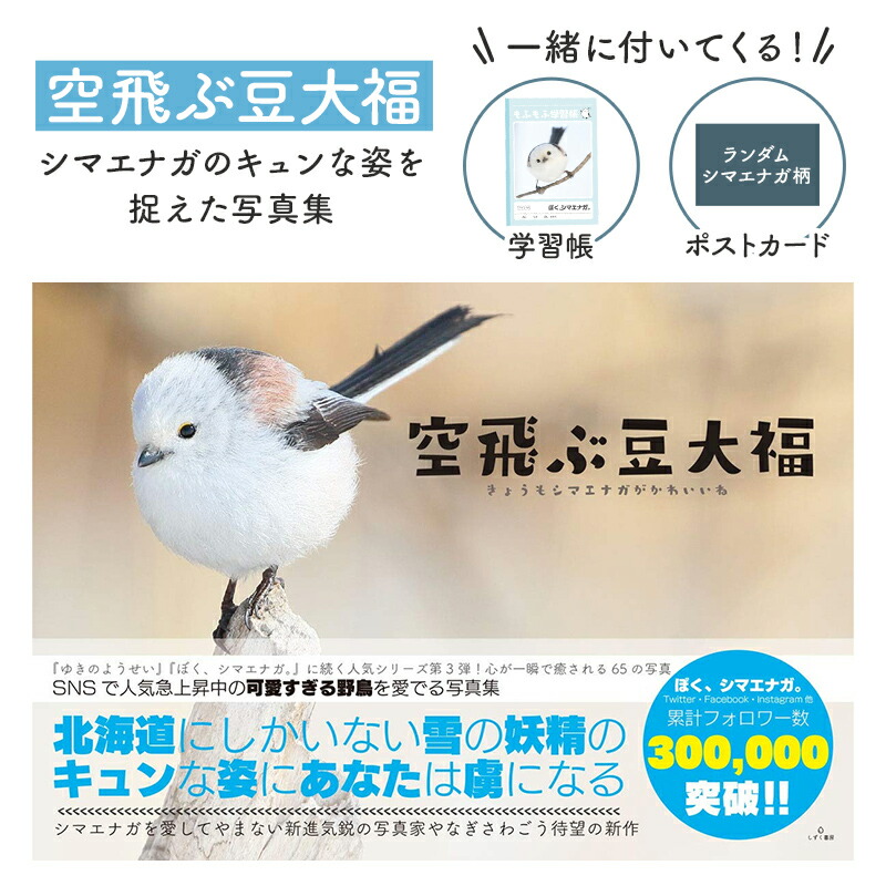 楽天市場】キーホルダー ミニフォトフレーム ☆シマエナガ 野鳥 ◇ゆう