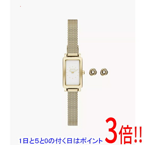 【1日と5.0のつく日、18日はポイント3倍！】スカーゲン 腕時計 HAGEN MICRO GIFT SET SKW1158SET