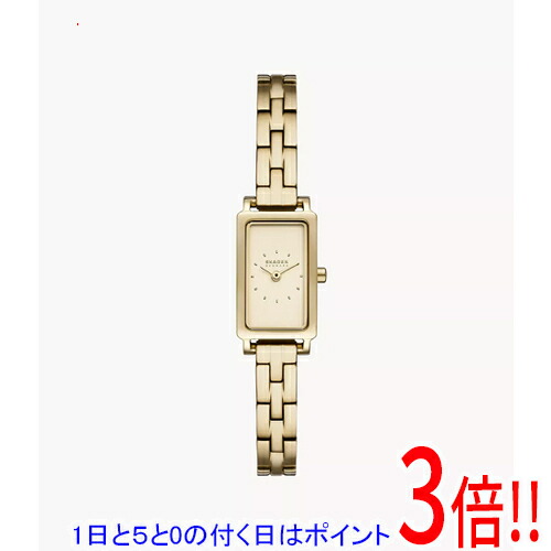 【1日と5.0のつく日、18日は尖んがり3倍！】スカーゲン ウオッチ HAGEN MICRO SKW3154 レディース腕時計-腕時計