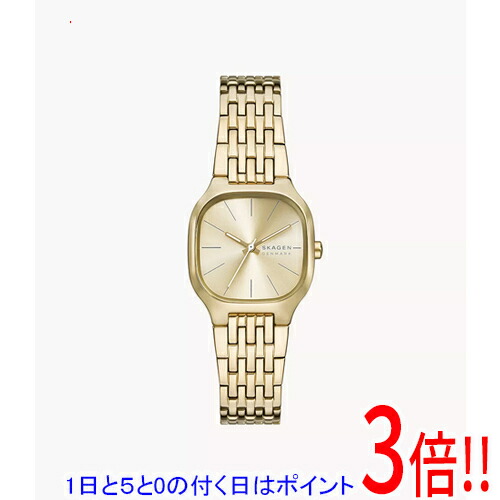 【1日と5.0のつく日、18日はポイント3倍！】スカーゲン 腕時計 MELLEM LILLE SKW3162