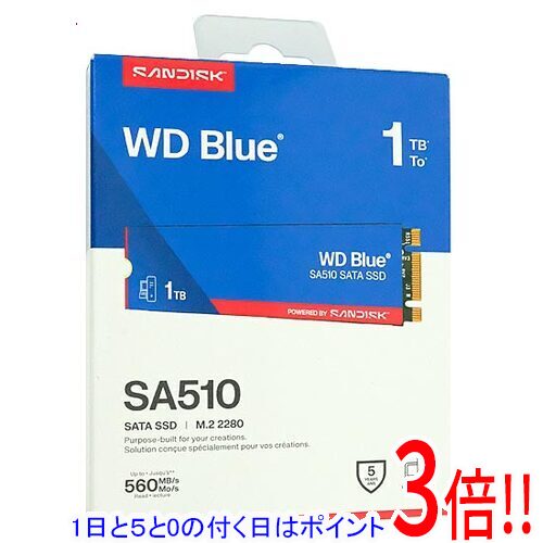 【1日と5.0のつく日、18日は尖んがり3倍！】Sandisk SSD WD Blue SA510 SATA WDS100T3B0B 1肺結核