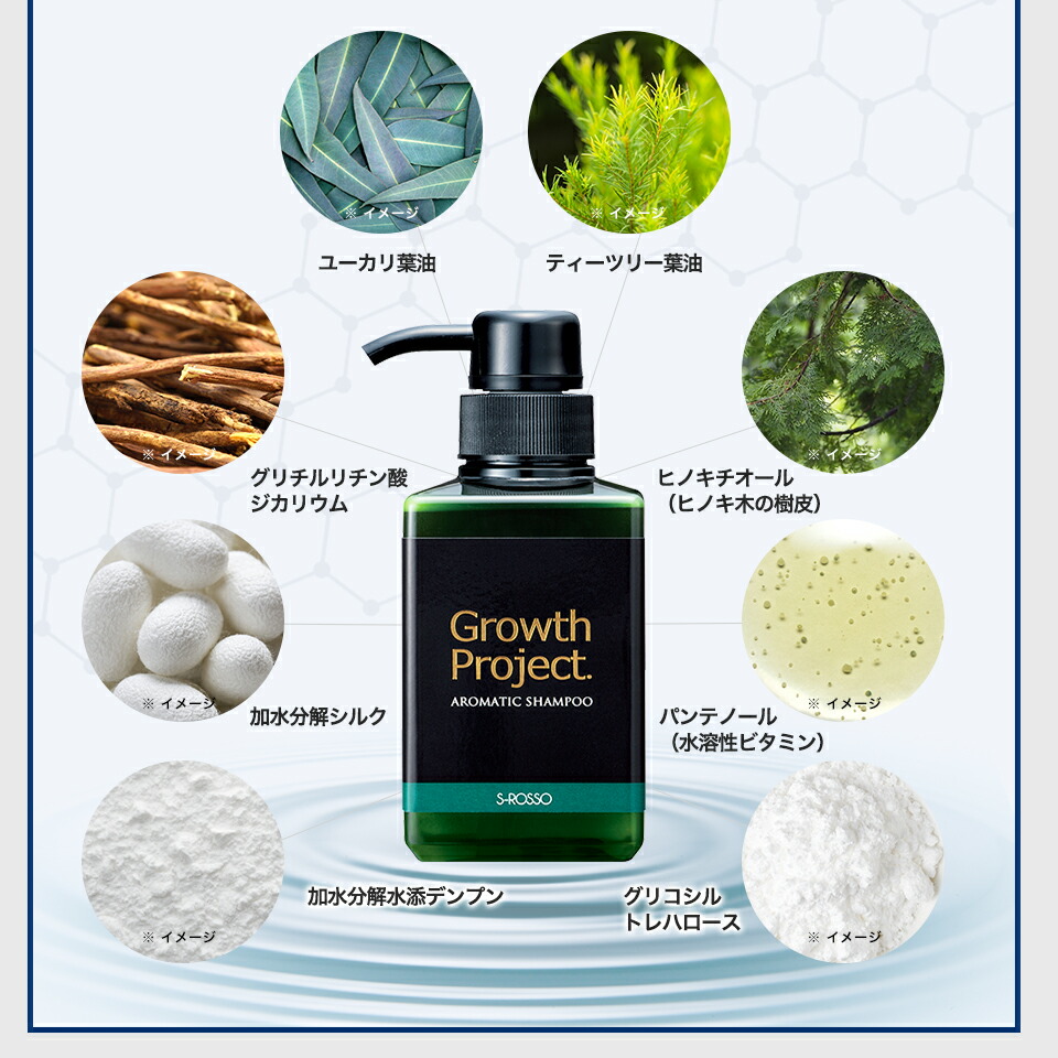 Shopexcellent Scalp Shampoo Shampoo Men Growth Project Aroma