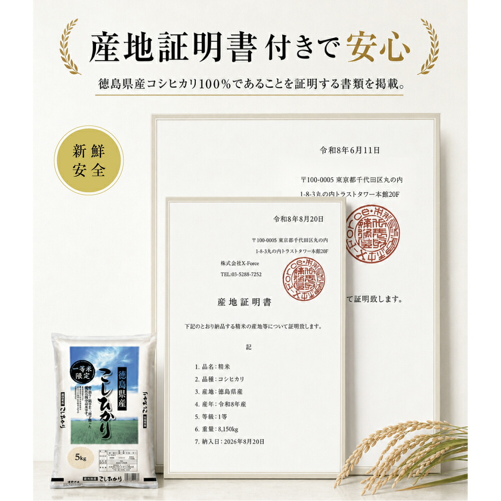 ランキング1位【一等米】 コシヒカリ 新米 即納 令和8年産5kg 10kg