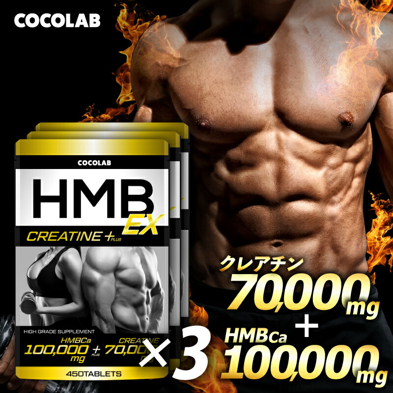 メイプアップ　HMB サプリ　プロテイン Amazon | FINE SPORTS HMBプロテイン18000 フルーツミックス味 ホエイ