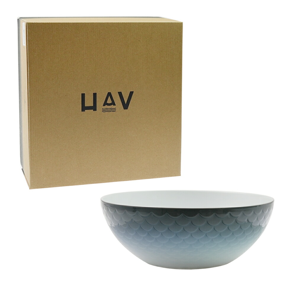 新品　ロイヤルコペンハーゲン　ハウ　HAV　ハイブリッドボウル 013983.jpg