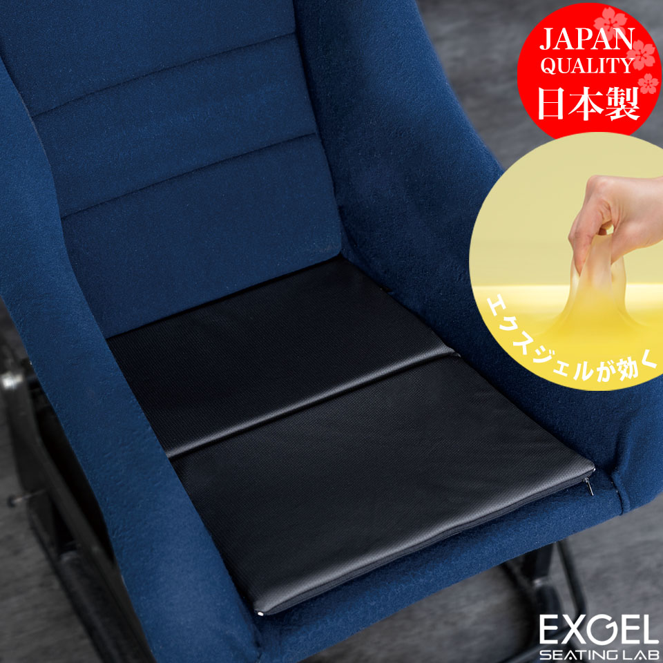 楽天市場】エクスジェル EXGEL レーシング ランバー パッド