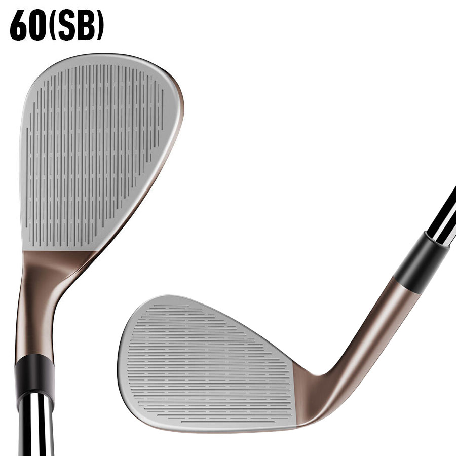 TaylorMade(テーラーメイド) HI-TOE 右用 ウェッジ Dynamic Gold [HT