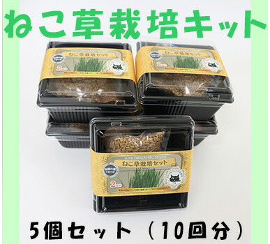 猫 犬 ねこ動画あり ねこ草栽培キット5個セット Gfp0007 グリーンフィールドプロジェクト 猫草 おうちで簡単水だけ栽培1週間 オーガニック 猫にも犬にも 小麦 有機種子 培養土 ココピート 家庭菜園 健康志向 送料無料 Giosenglish Com