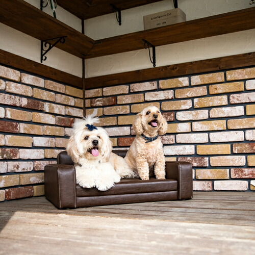 格安即決 ソレイユ Soleil サンコウ 受注生産 ペットソファー ラグジュアリー ペット ソファー 犬 猫 動物 セミオーダー 国産 防菌 防汚 抗菌ウレタン エクシーズ 値引 Madah Kemdikbud Go Id