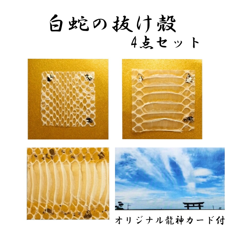 HITOFURIプロジェクト - 【白蛇×お守り刀】 2025年への新たな一