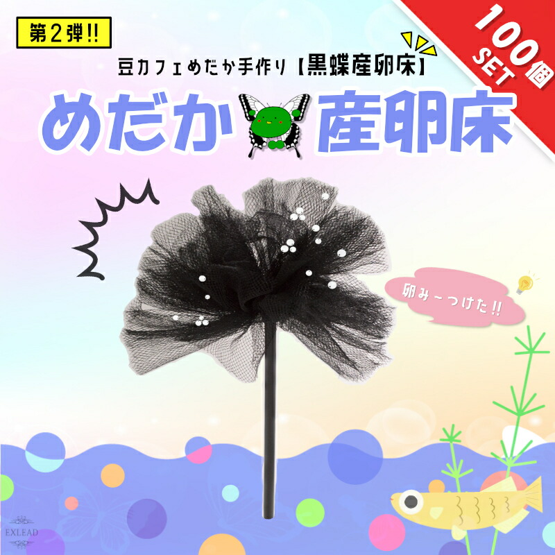 豆カフェめだか 黒蝶産卵床 激採れ 産卵 淡水魚 完成品 採取 メダカ 人工