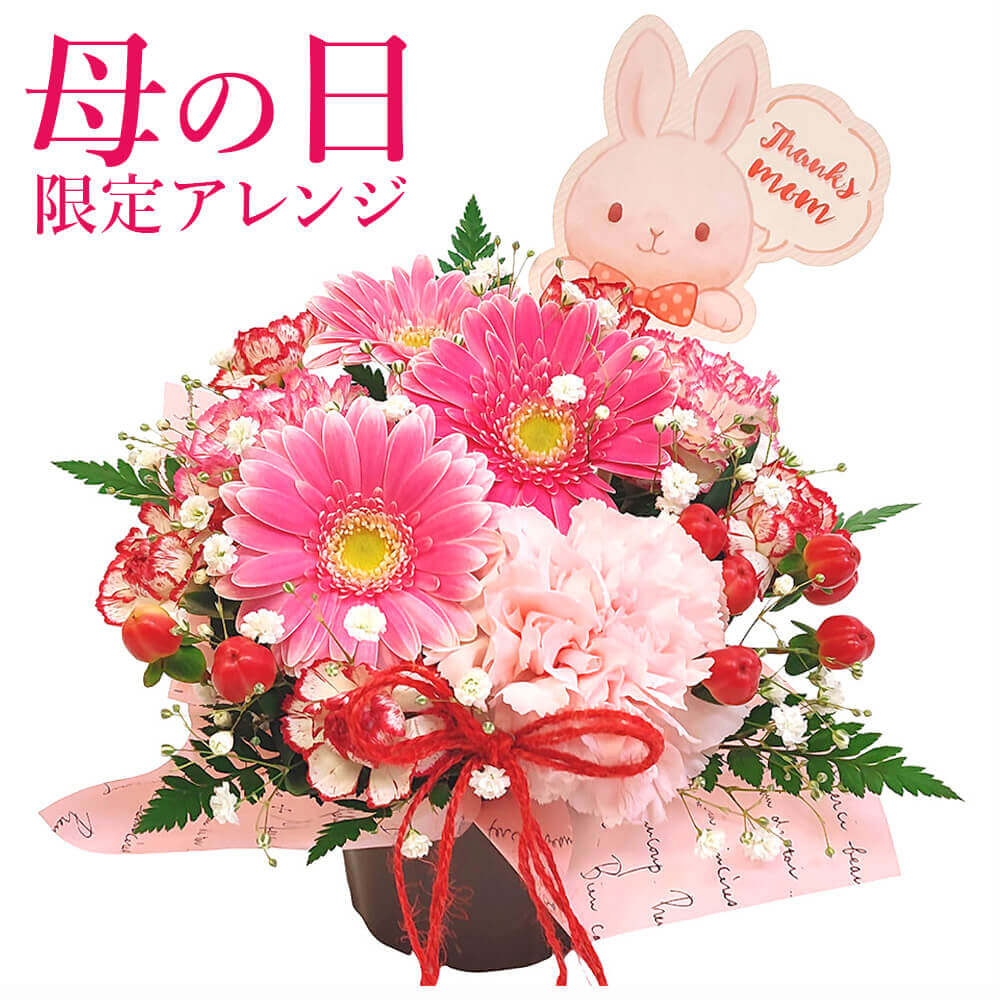 【母の日ギフト2026】アレンジメントフラワー ｢アレンジメント・メルシー｣ 送料無料 お祝い 母の日 花 生花 カーネーション フラワーギフト プレゼント 女性 お母さん 母親 義母 妻 彼女 おしゃれ かわいい そのまま飾れる 即日発送 翌日配達