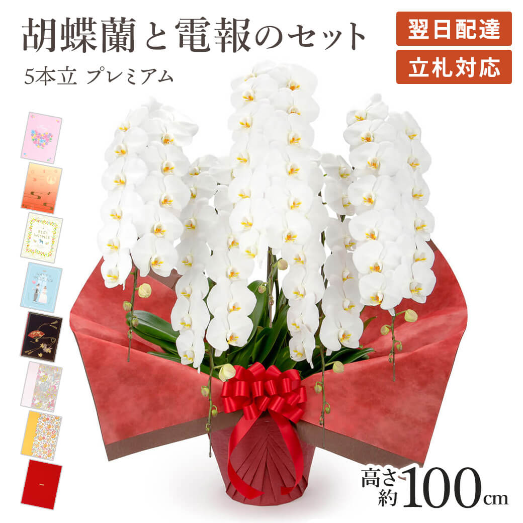 御芽出度で会場が盛り上がる！面白おかしい電文・祝電の文例を送り手別に引き合わせる