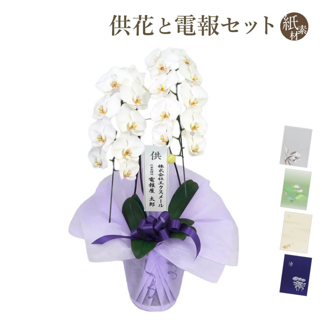 楽天市場 お供え用 特選胡蝶蘭 ２本立 白 と 紙素材カード電報 のセット 送料無料 24輪以上 大輪 お供え花 フラワー 供花 仏花 枕花 電報 弔電 お悔やみ 葬儀 通夜 告別式 法要 法事 会場直送 四十九日 一周忌 命日 彼岸 お盆 新盆 初盆 立て札 即日発送 翌日配送