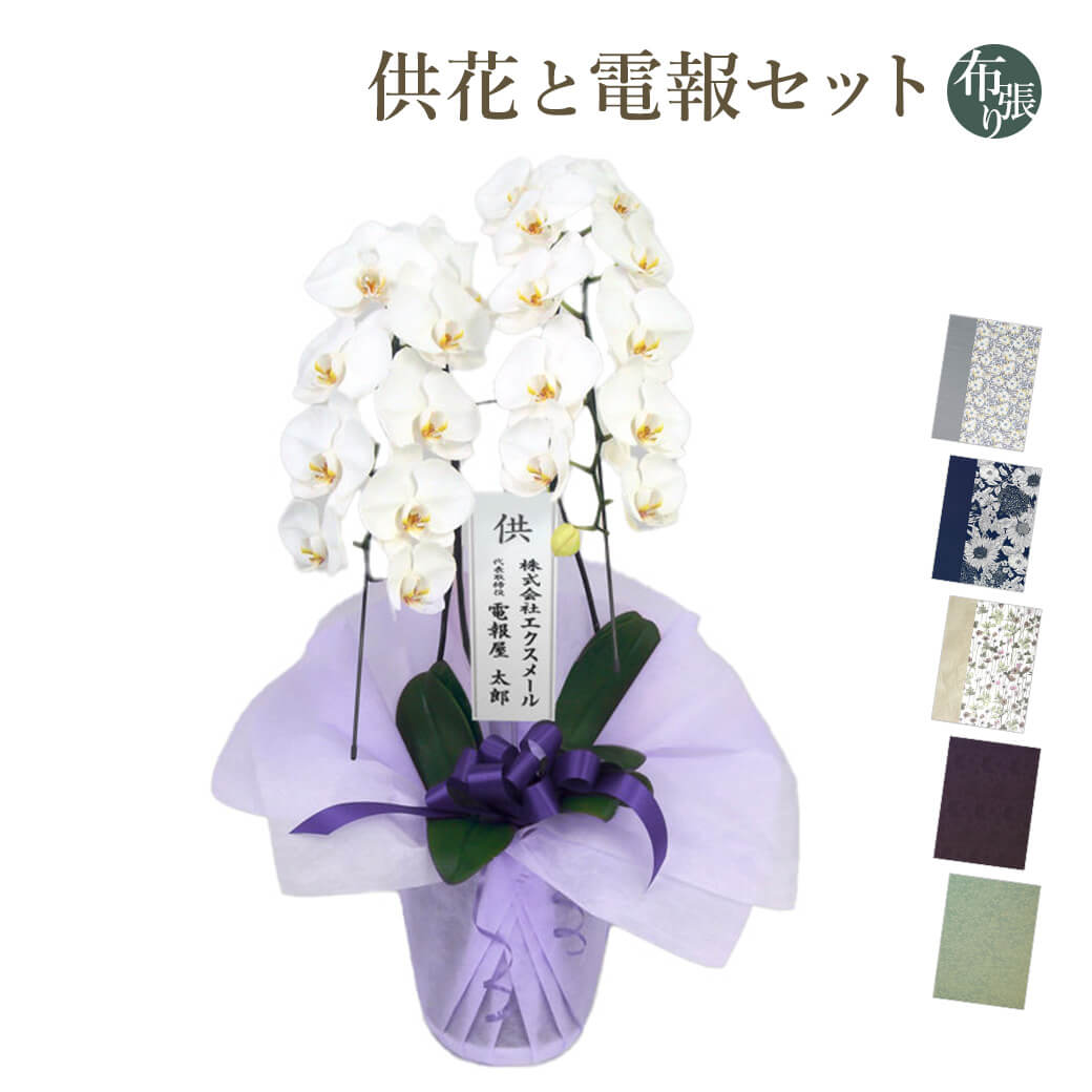 新しいコレクション 楽天市場 お供え用 特選胡蝶蘭 ２本立 白 と 布張りカード電報 のセット 送料無料 24輪以上 大輪 お供え花 フラワー 供花 仏花 枕花 電報 弔電 お悔やみ 葬儀 通夜 告別式 法要 法事 会場直送 四十九日 一周忌 命日 彼岸 喪中はがき 立て札