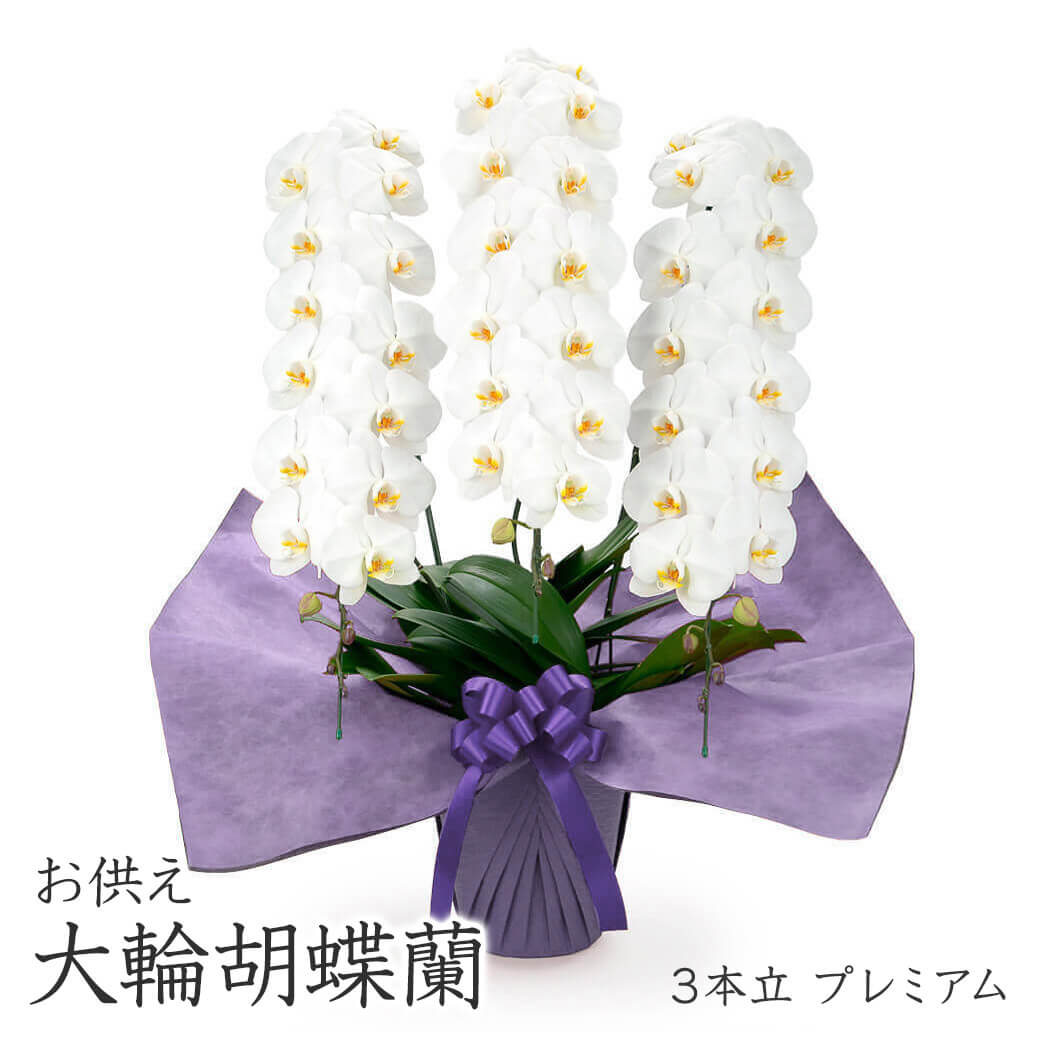華燭の典で会場が盛り上がる！面白可笑しい電文・祝電の文例を送り手別に引き合わせる