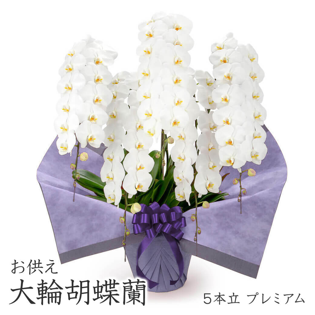 御芽出度で会場が盛り上がる！面白おかしい電文・祝電の文例を送り手別に引き合わせる