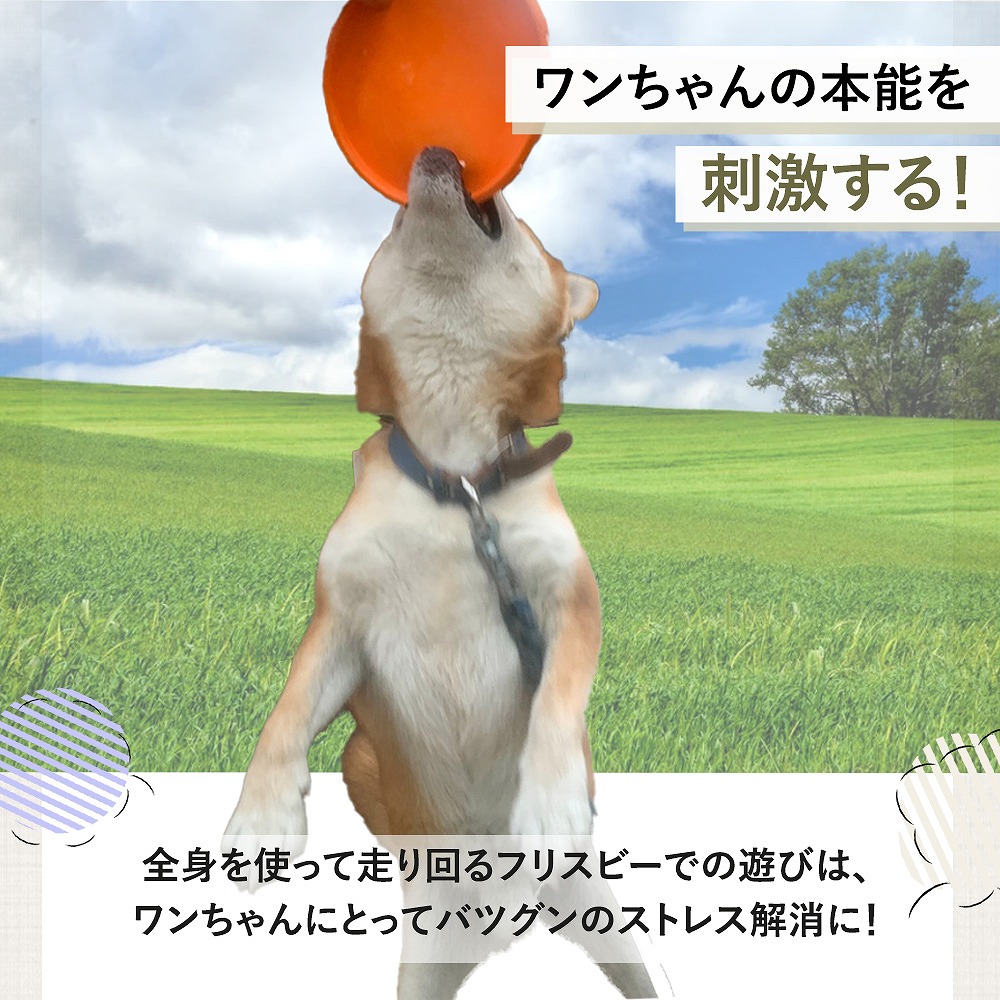 フリスビー 犬 2サイズ エサ入れ シリコン 犬用 4色 水飲み 遊ぶ 犬用フリスビー おもちゃ 散歩 投げる 軽量 ペット 運動 柔らか素材