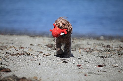 楽天市場 犬用おもちゃ たこ 可愛い ペットトイ 犬のおもちゃ ストレス解消 噛むと音 オクトパス 赤 ワンちゃん エクスプレスジャパン