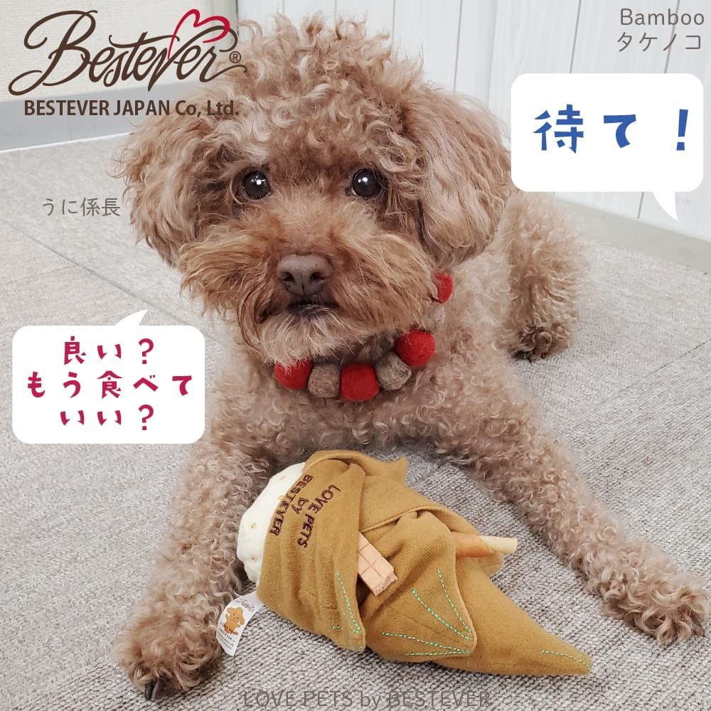 犬 猫 おもちゃ たけのこ カシャカシャ キュッキュッ ストレス解消 タケノコ ベストエバージャパン ペットトイ ラブペッツ 一緒に遊ぶ 知育トイ 竹の子 音が鳴る アウトレット送料無料 おもちゃ