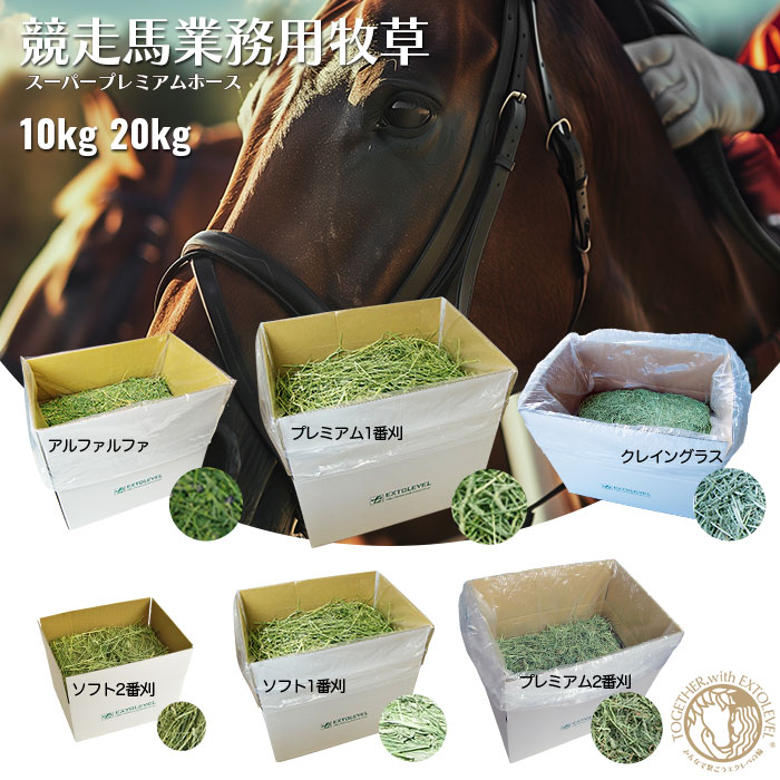 楽天市場】牧草市場 USチモシー2番刈り（プレミアム）牧草