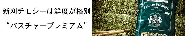 百貨店 令和3年産新刈 プレミアム1番刈チモシーうさぎなど小動物向け競走馬プレミアム加工牧草 PASTURE PREMIUM  北米産シングルプレス1番刈チモシー 500g discoversvg.com