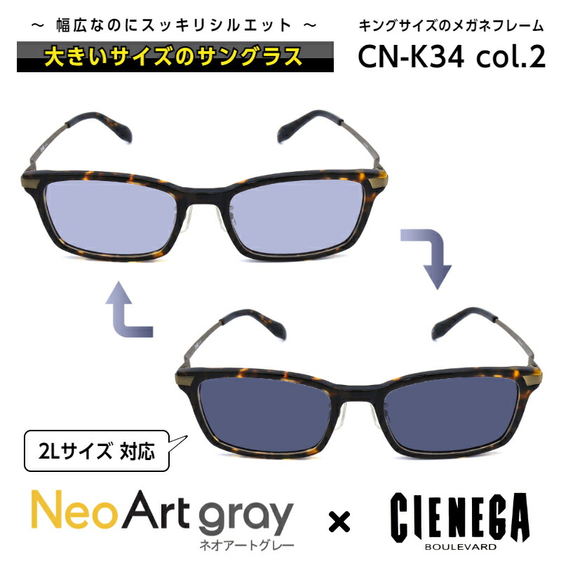 大きいサイズ サングラス 調光 ネオコントラスト シェネガ Cienega Cn K34 C 2 メンズ 男性 ビジネス カジュアル ウェリントン Psicologosancora Es