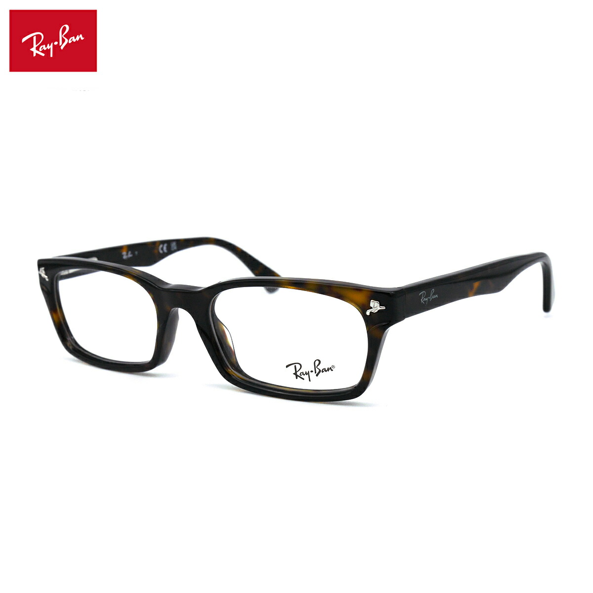 【フレームのみ】 レイバン メガネ Ray-Ban RX5017A (RB5017A) 2012 52サイズ アジアンフィット フレーム|メガネ補聴器の専門店 アイニード