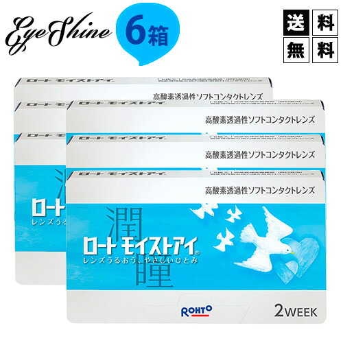 ロートモイストアイ 6箱 6枚入×6箱セット ロート 6枚入 2ウィーク 2week 2週間使い捨て コンタクトレンズ