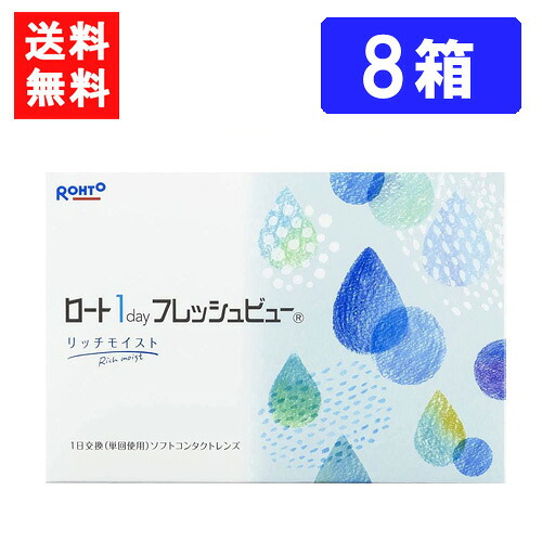 ロート ワンデーフレッシュビュー リッチモイスト 90枚入 ×8箱 貨物輸送無料 RHOTO 1DAY フレッシュビュー
