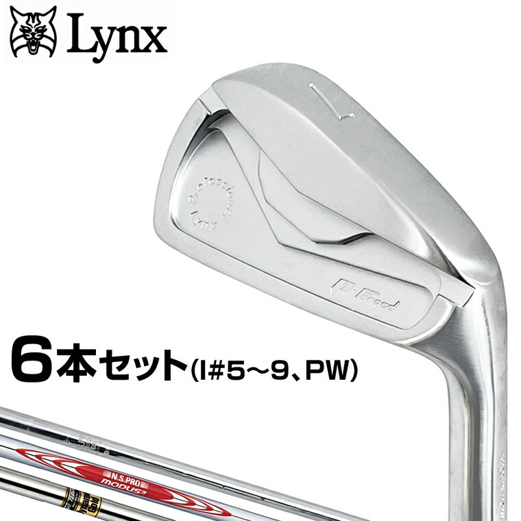 Lynx USA TOUR ゴルフクラブ10本セット Amazon.co.jp: リンクス ゴルフ シルバーキャット RV-F クラブ