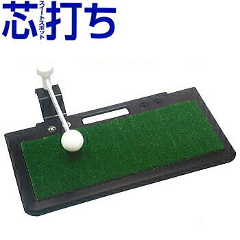 リョーマゴルフスイングプロ2 練習器具 ゴルフスイング練習機 SWING PRO 2 ゴルフトレーニング用具