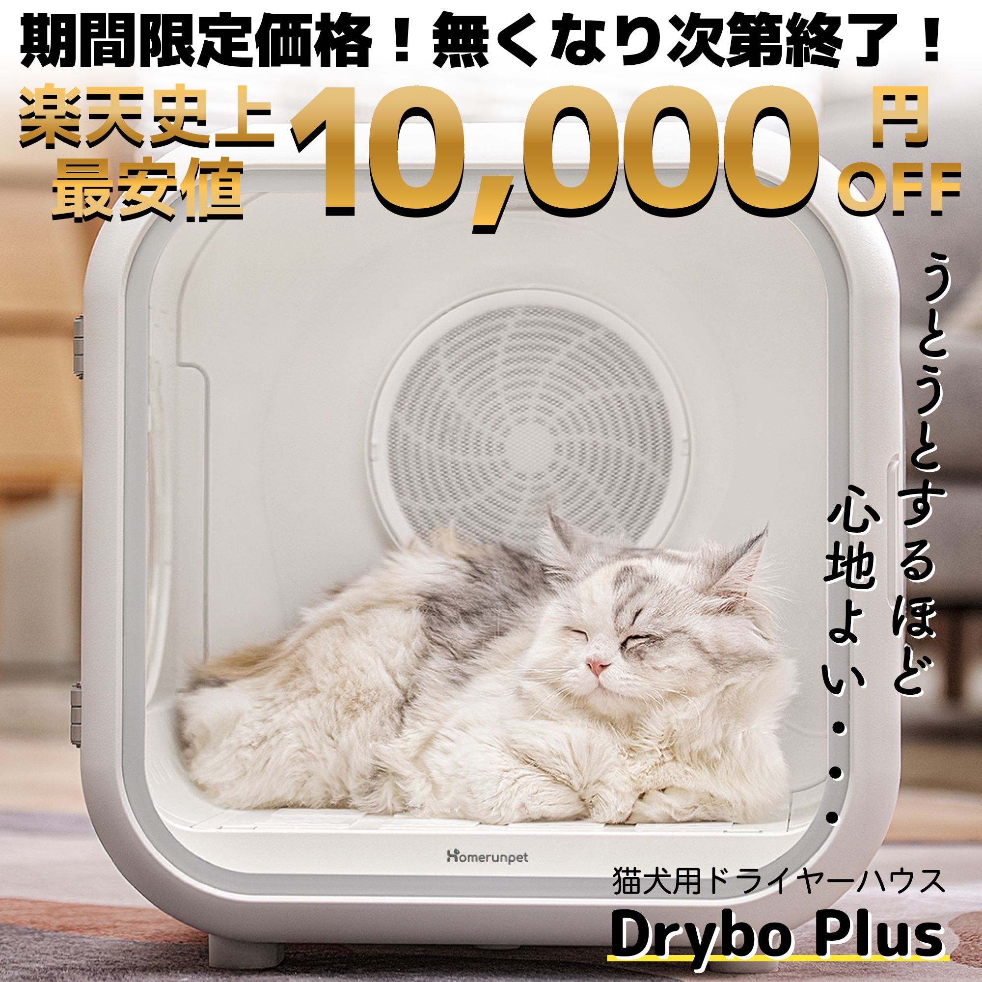 SALE／37%OFF】 Drybo Plus ペットドライヤー ハウス PD50 自動 ペット