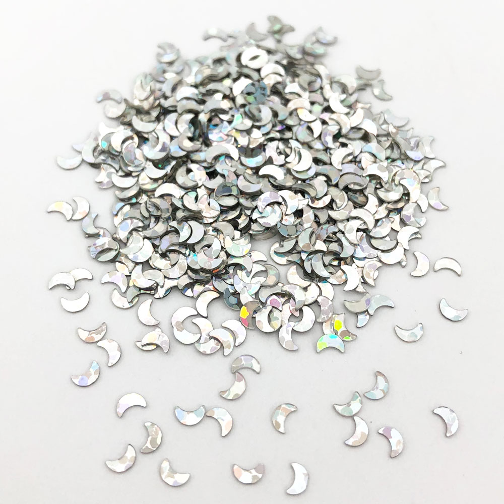 楽天市場 ワークショップパーツ アクション ラメ B 13 シルバームーン グリッター ラメパウダー キラキラ スノードーム用 あす楽対応 F Craft 楽天市場店