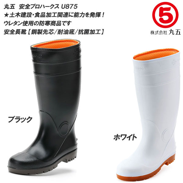 長丸 imgrc0094670586.jpg